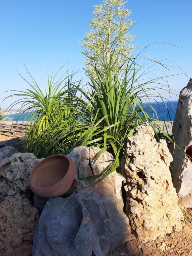 Breathtaking Sea View Flat In South Crete Διαμέρισμα Κερατόκαμπος Εξωτερικό φωτογραφία